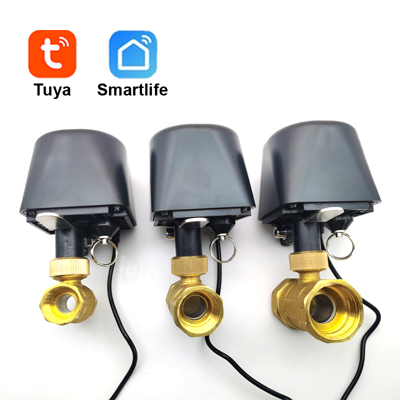 Smart Garden Zigbee - Tuya WiFi oder Zigbee Wasserventil Absperrkugelhahn