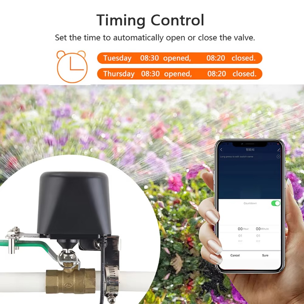 Tuya Zigbee oder Wifi Wasser V – Smart Garden Zigbee Bewertung und Preis
