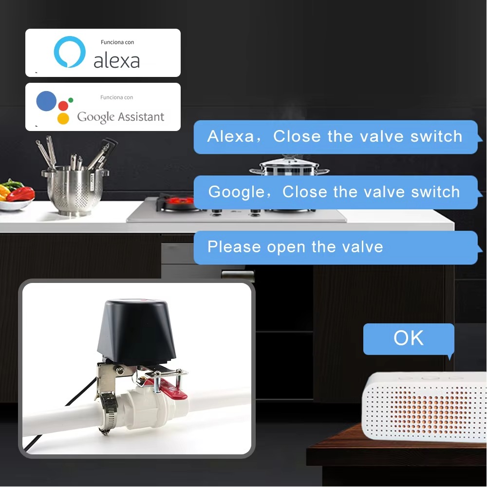 Tuya Zigbee oder Wifi Wasser V – Smart Garden Zigbee Bewertung und Preis