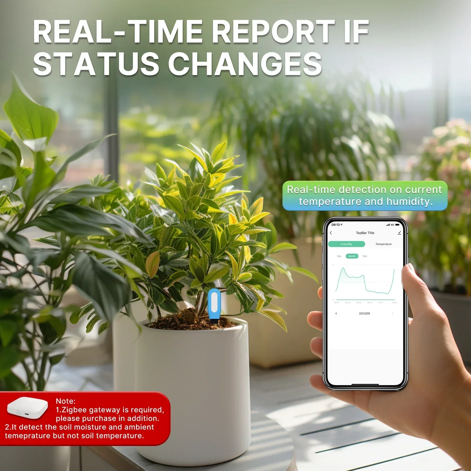 MOES Smart ZigBee Bodentempera – Smart Garden Zigbee Bewertung und Preis