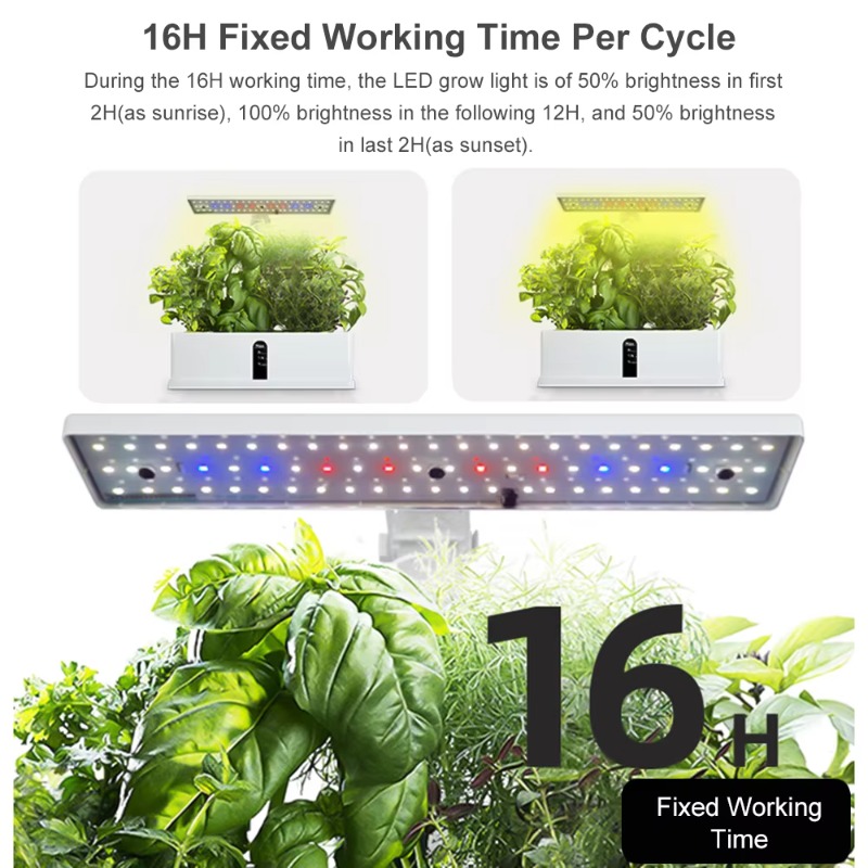 9-Pods Smart Hydroponisches An – Smart Garden Lighting System Bewertung und Preis