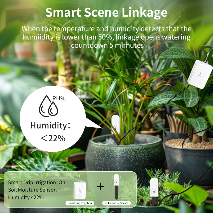 Intelligenter Zigbee 3.0 Boden – Smart Garden Zigbee Bewertung und Preis