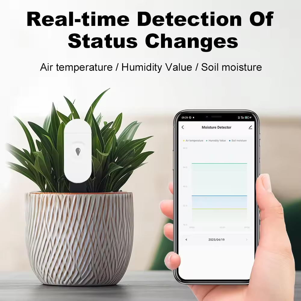 Tuya Zigbee Temperatur Feuchti – Smart Garden Zigbee Bewertung und Preis