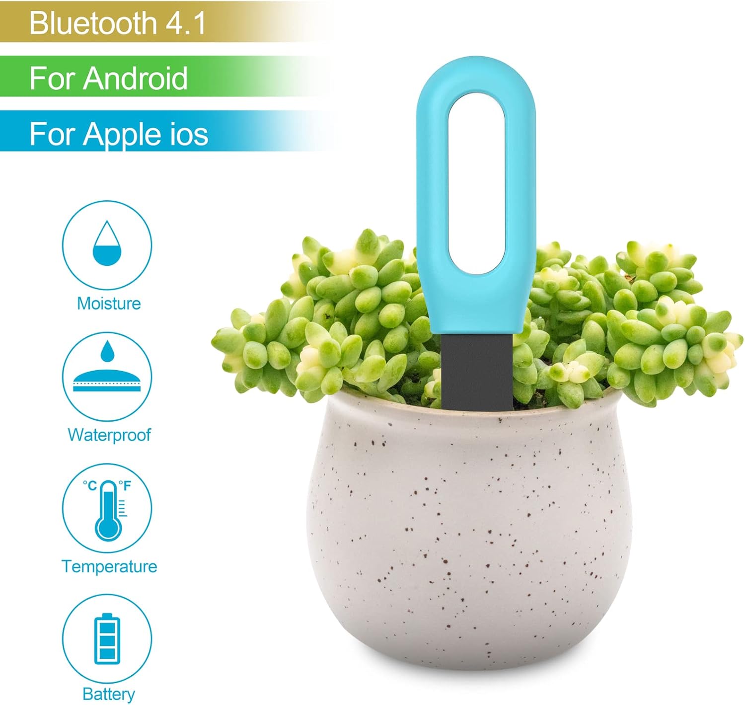 Tuya Bluetooth Zigbee Intellig – Smart Garden Zigbee Bewertung und Preis