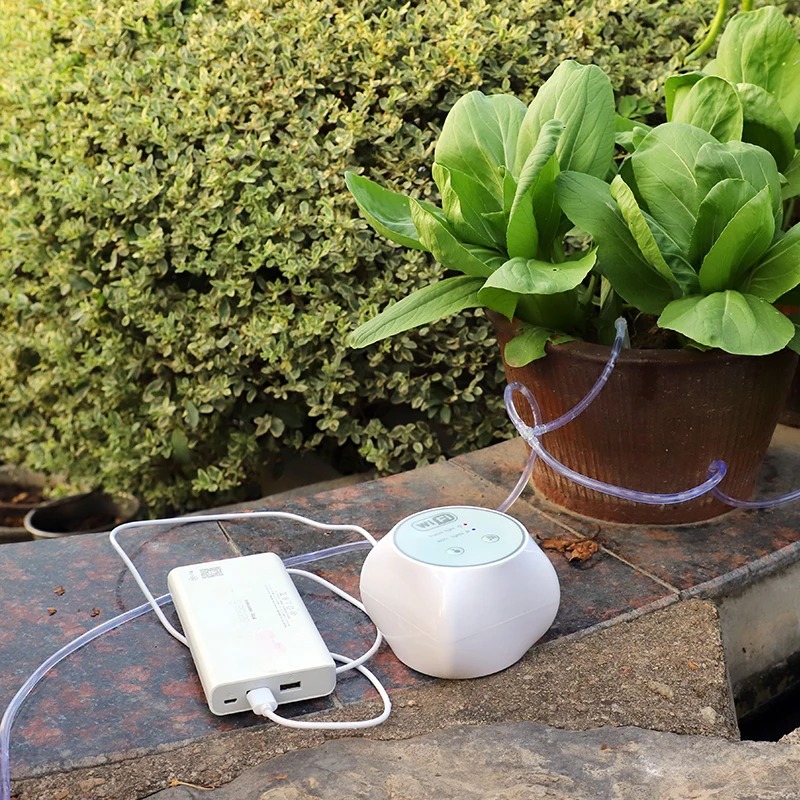 Wifi Lazy automatisches Bewäss – Smart Garden Keeper Bewertung und Preis
